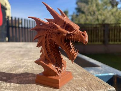 Dead dragon head bust