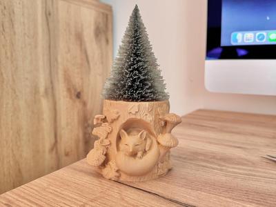 Fox in the forest with a pine tree