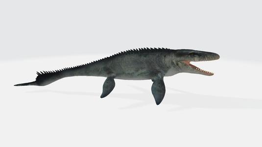 Mosasaurus