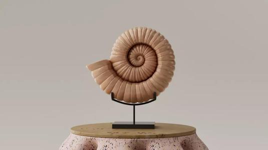 ESCULTURA - ARTE - CARACOL