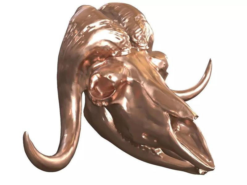 Cranium Charm Muskox