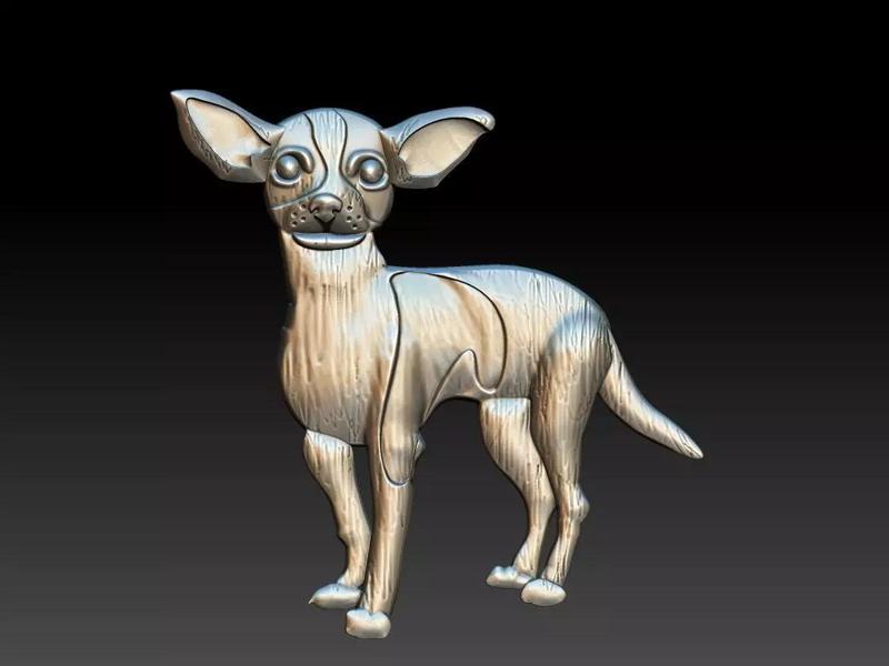 Chihuahua Dog Relief