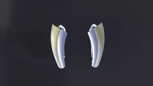 Neat little earrings for CNC model or