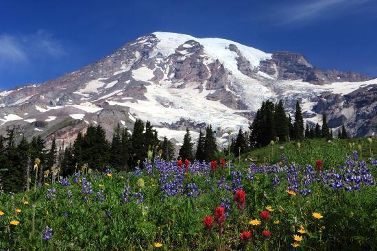 Mount Rainier