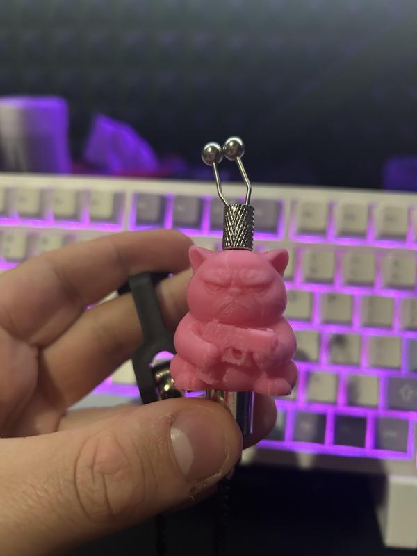 Fishing swinger, carp, fishing