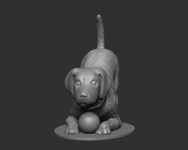 Dog
