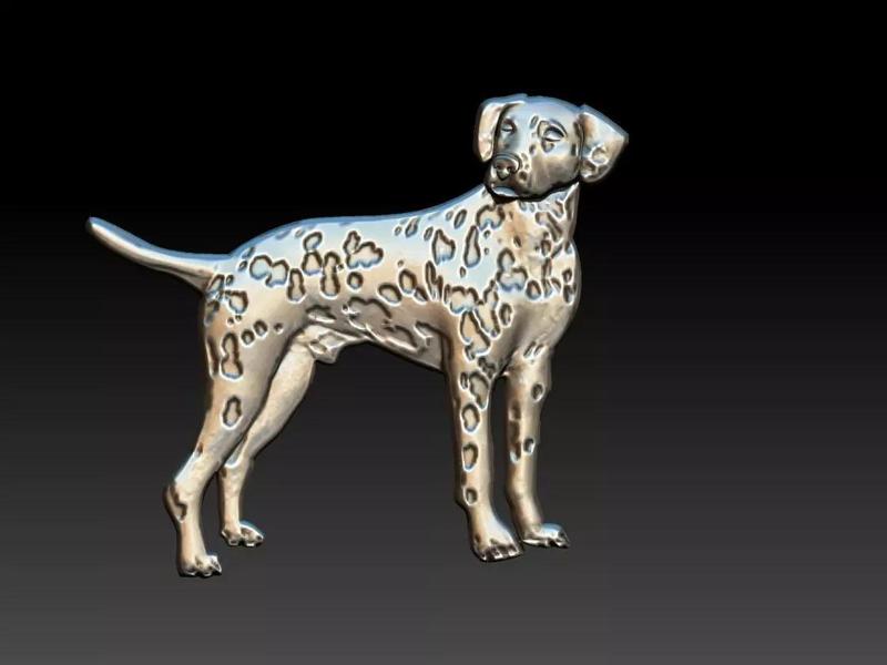 Dalmatian - Dalmata - Dog Relief