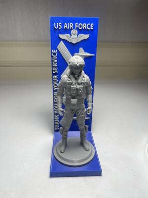 Service Recognition Air Force