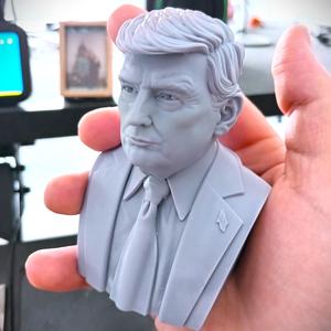 Donald J Trump 47th President