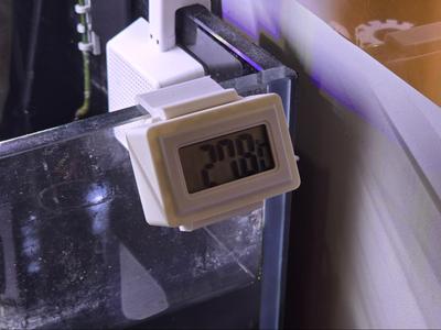 Aquarium Thermometer Stand