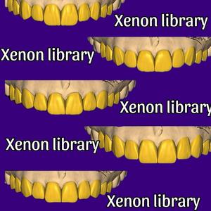 library hight qualitty
