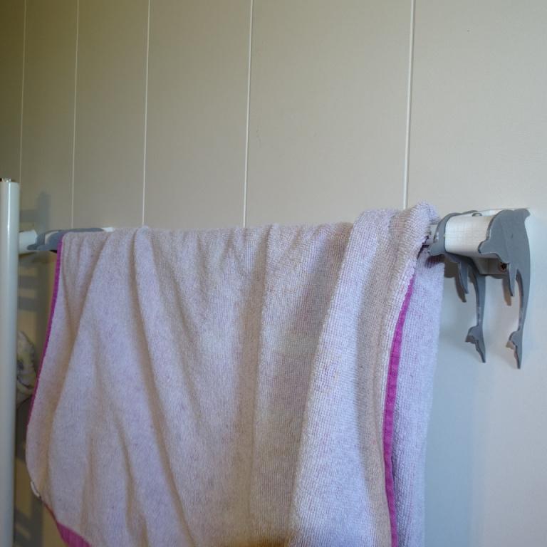 Dolphin towel holder