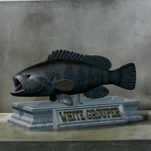 fish white grouper / Epinephelus aeneus open mouth statue detailed texture for 3d printing