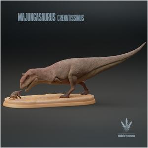 Majungasaurus crenatissimus : Simosuchus Display