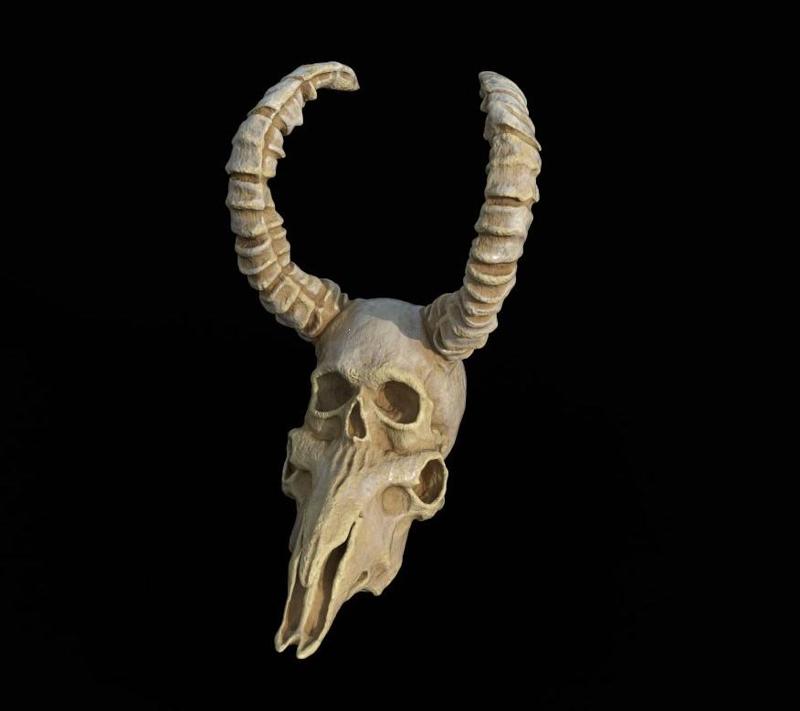 Human skull / Goat merged