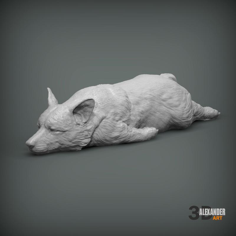 Sleeping Corgi