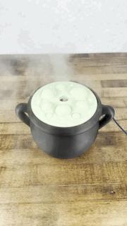 Cauldron Humidifier