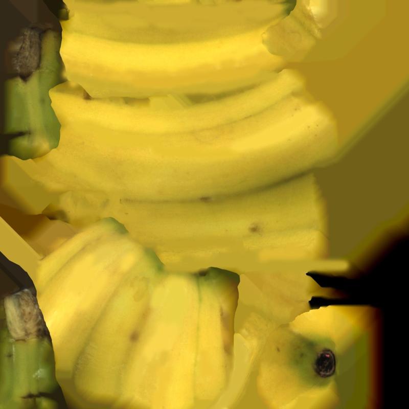 banane bananas