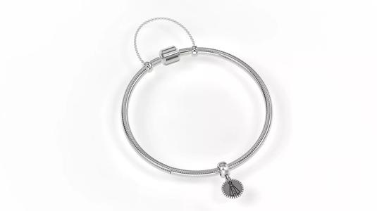 Our Lady of the Apparition Charm