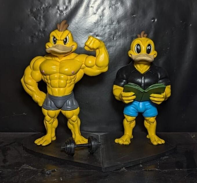 Gym Ducks / Patos mamados