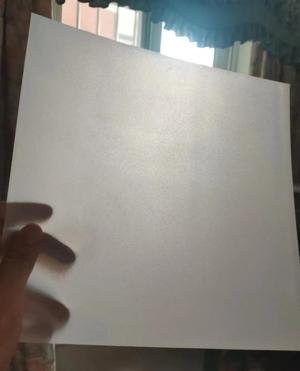 A1 P1 X1 Series First Layer Test