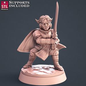 Paladin C Halfling Male