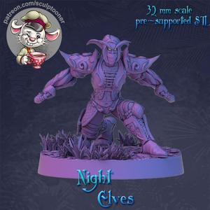 Night Elf rogue crouching male