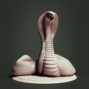 Snake-folks-Cobra