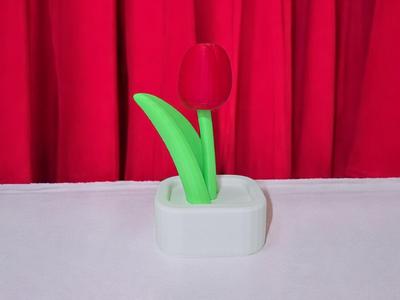 Decoration Tulip - Multipart