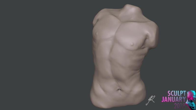 Man's Torso