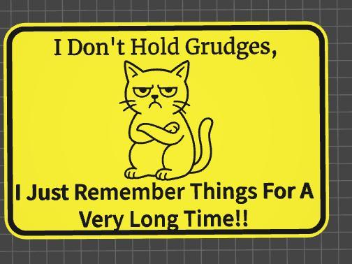 funny sign i don't hold grudges