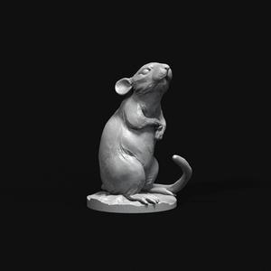 The house Mouse