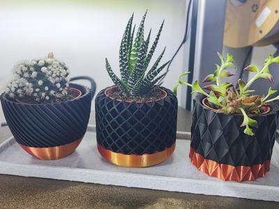 Dual Color Modern geometric succulent plant pot