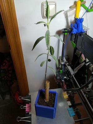 Chain Flower pot