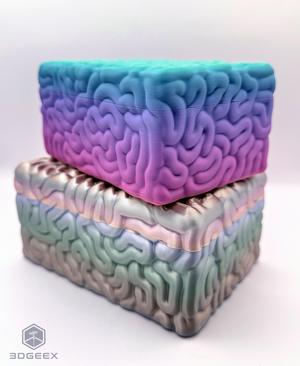 Brain Box