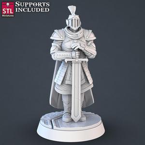 Royal Court Royal Guard B