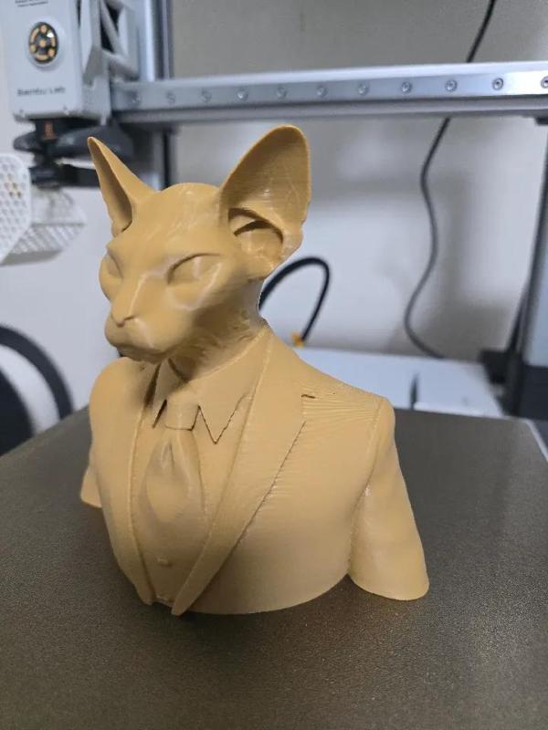 Sphynx with suit   