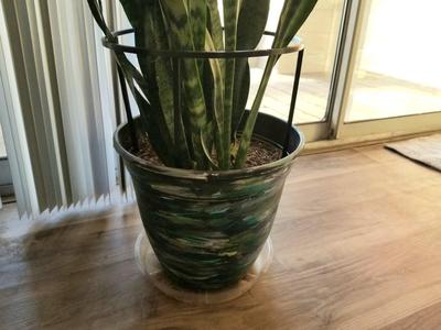 Pot Protector