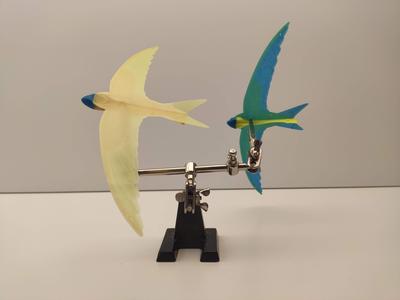 Swift - small bird glider