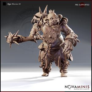 Ogre Warrior 01