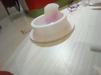 bowl   