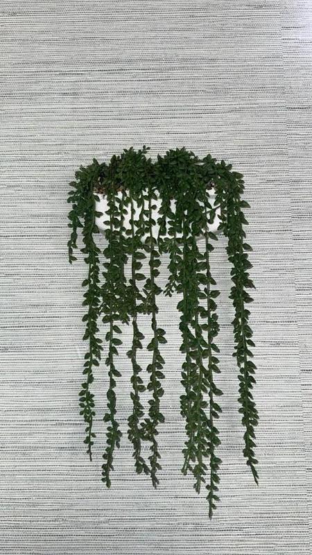 Hanging Planter   