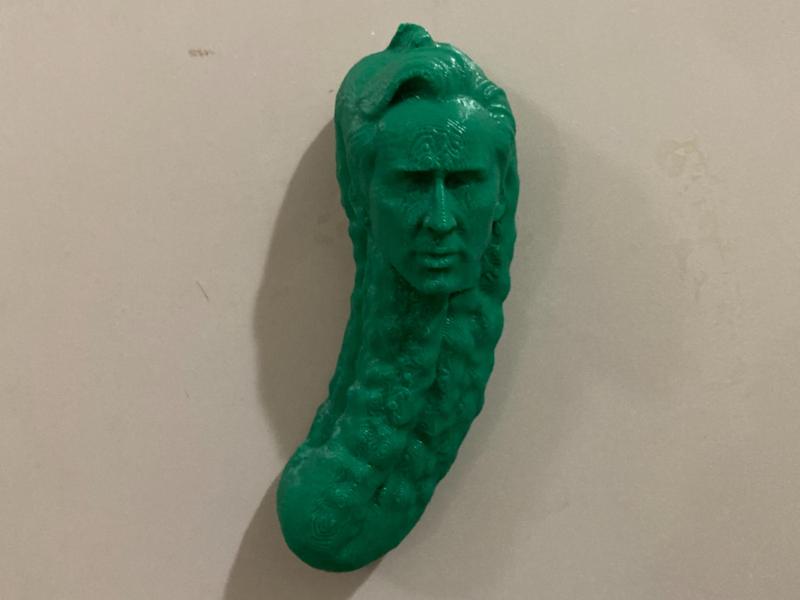 Picolas Cage / Pickle Nick Fridge Magnet