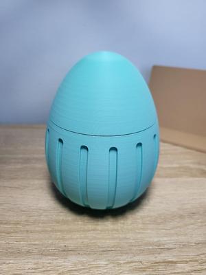 Egg Container
