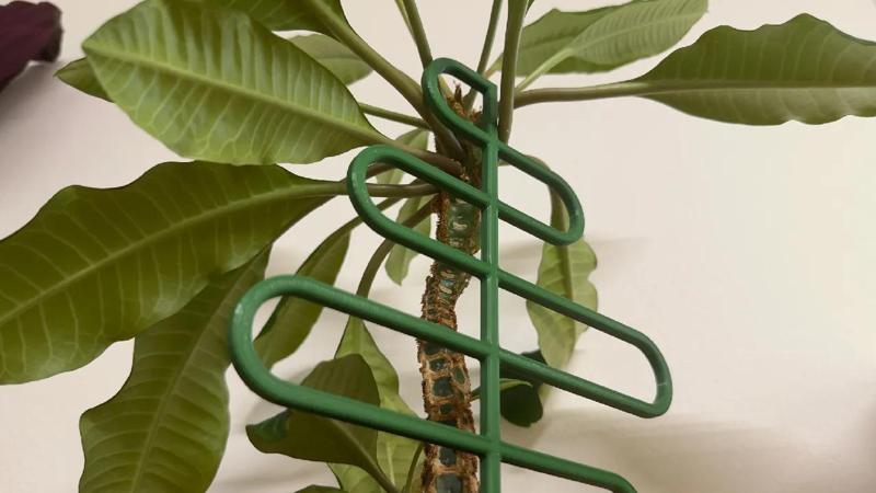 Flower supports / Podpory pro květiny   