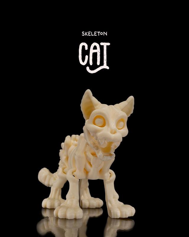 Skeleton Cat