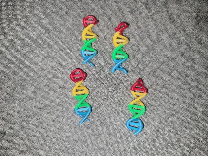DNA Double Helix Ornament/Accessory   