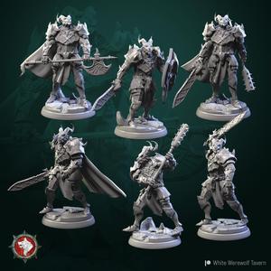Dragonborn knights 6 miniatures set 32 mm pre-supported
