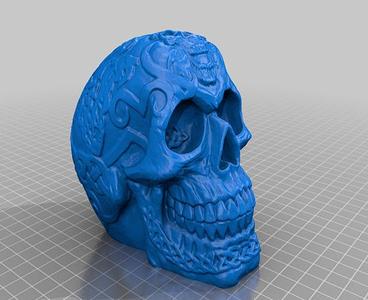 Skull