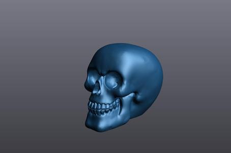 skull